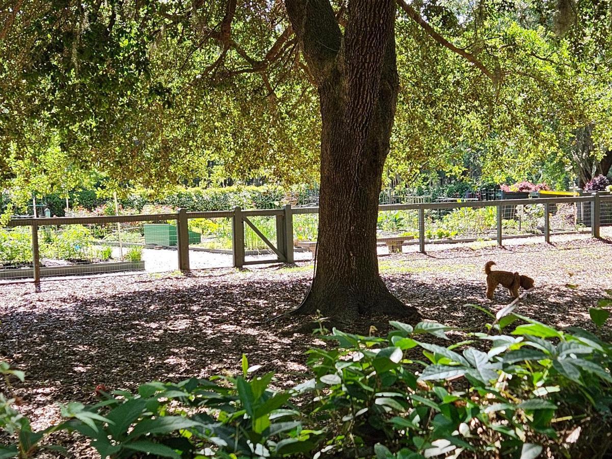 Low Country Cottage In Beautiful Habersham 博福特 外观 照片