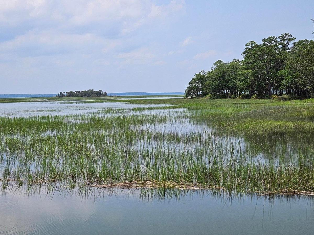 Low Country Cottage In Beautiful Habersham 博福特 外观 照片