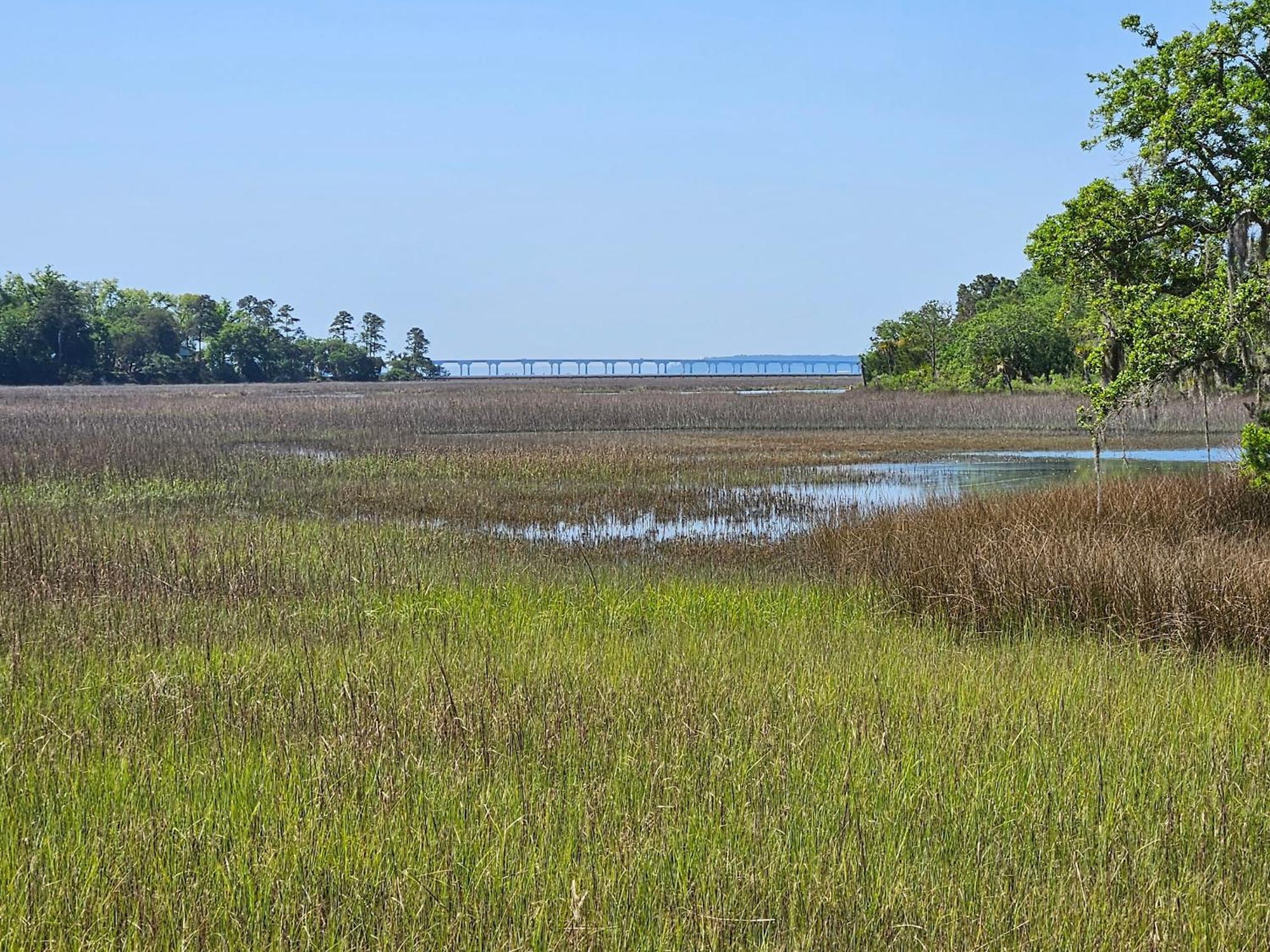 Low Country Cottage In Beautiful Habersham 博福特 外观 照片