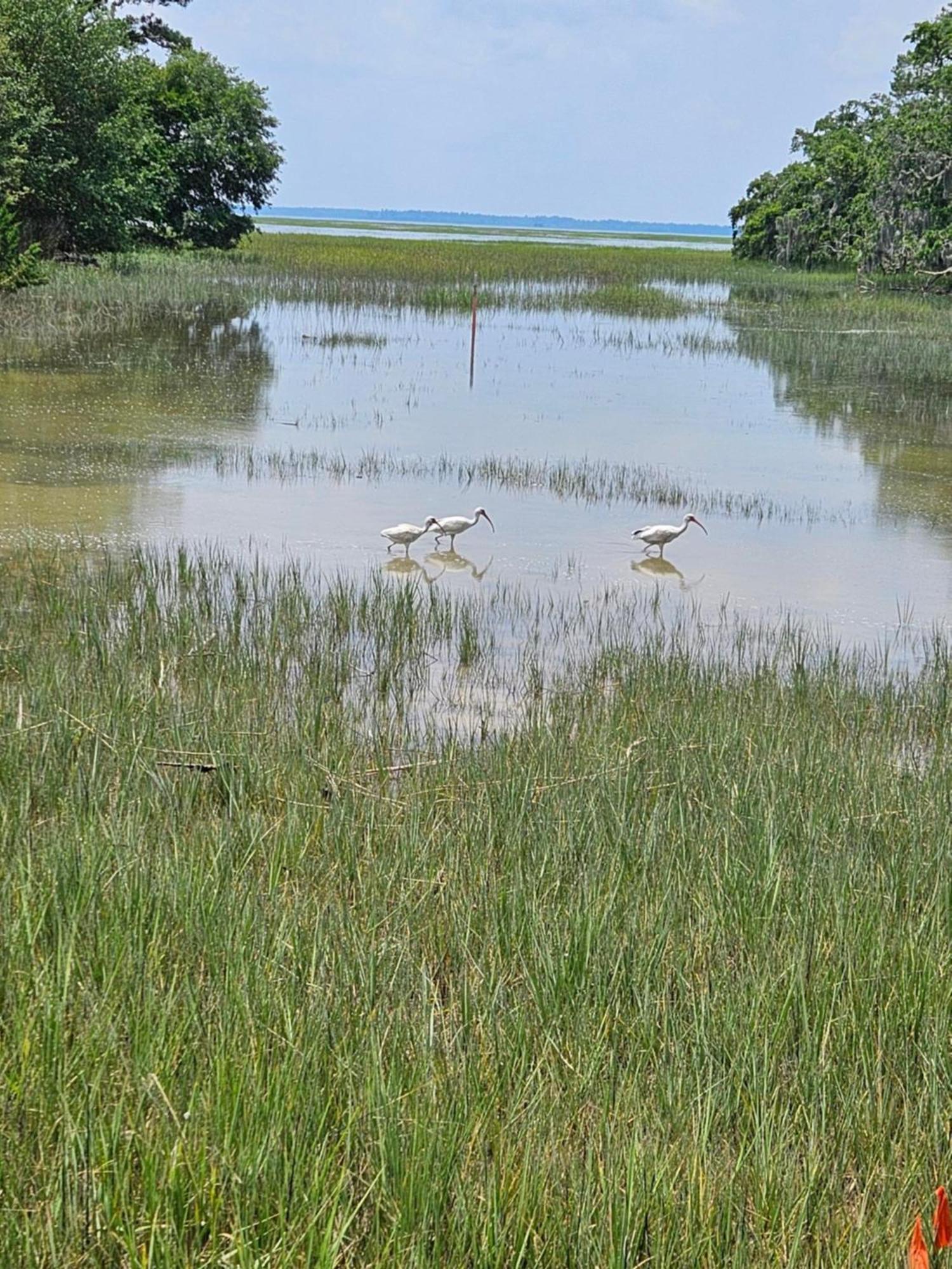 Low Country Cottage In Beautiful Habersham 博福特 外观 照片