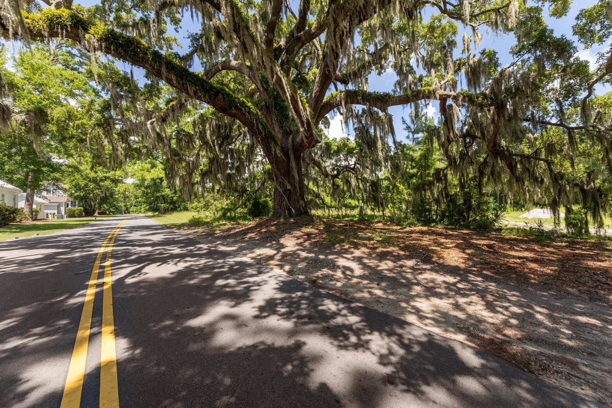 Low Country Cottage In Beautiful Habersham 博福特 外观 照片
